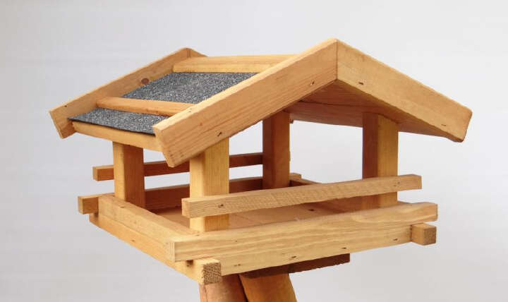 Star Vogelhaus mit Blockbohlenrand